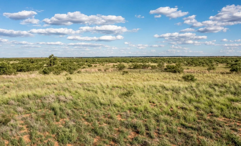 Mac Pasture Ranch featured image