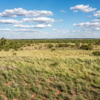 Mac Pasture Ranch