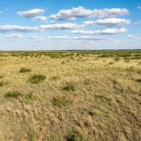 Mac Pasture Ranch images 3