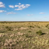 Mac Pasture Ranch images 4