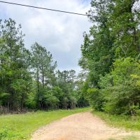 12 Acres Old Arco Road A-5 Silsbee Stake images 5