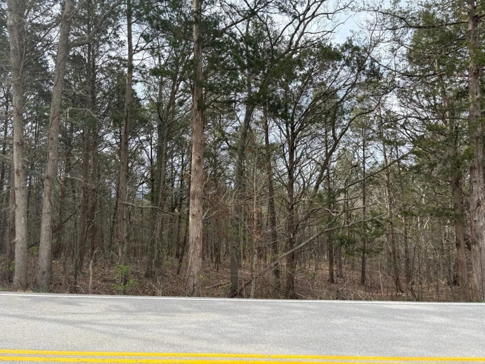 Holiday Hills Road featured image