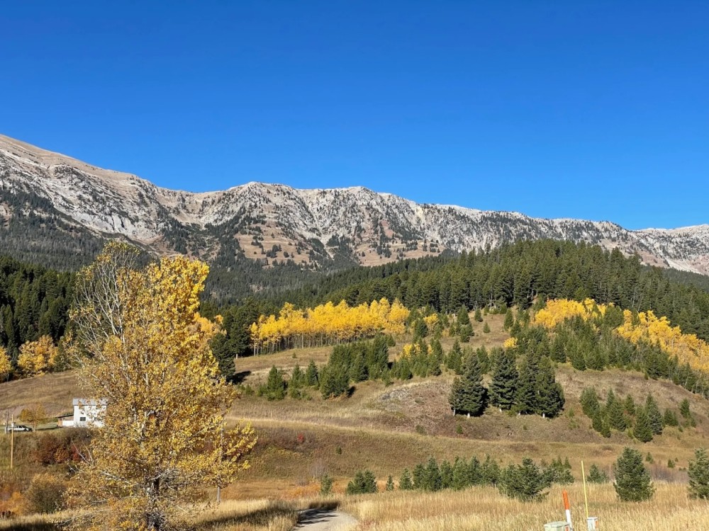 Bridger Creek Gem featured image