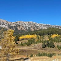 Bridger Creek Gem images 1