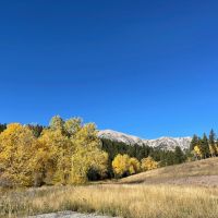Bridger Creek Gem images 2
