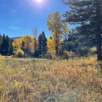 Bridger Creek Gem images 3