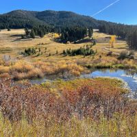 Bridger Creek Gem images 5