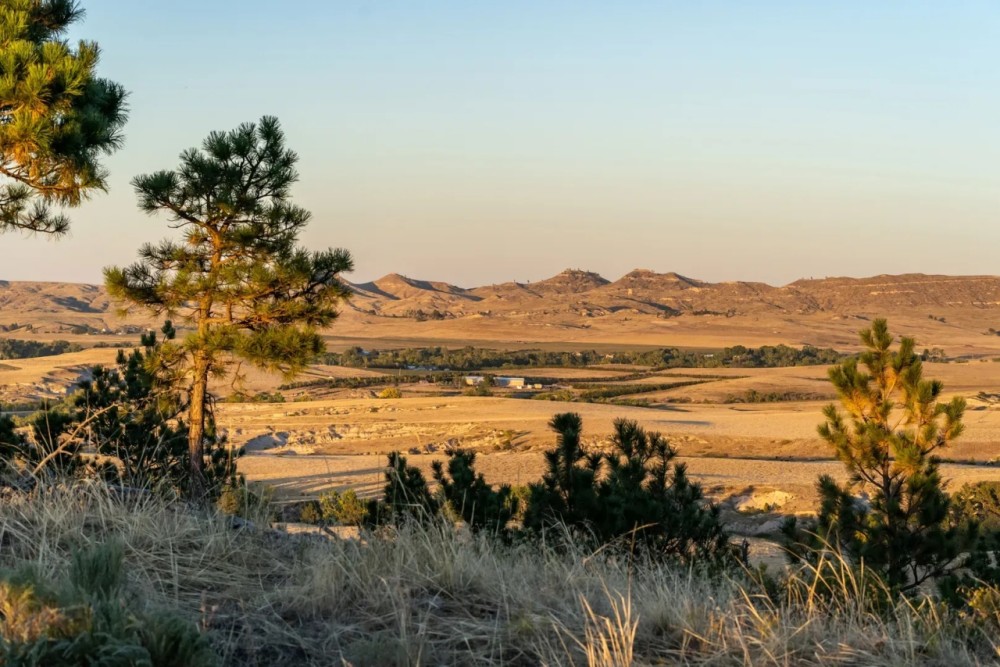 JM Ranch featured image