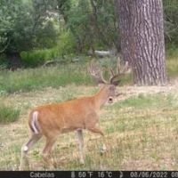 JM Ranch images 3