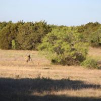 Hamilton Texas 89.86 Acres images 2
