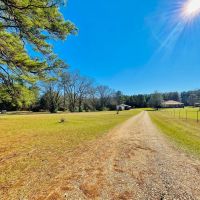63 Wooded Acres with 2 Ponds and Home images 3