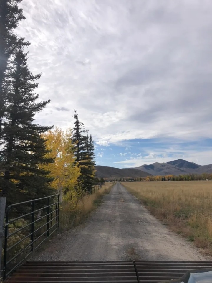 Mackay ID 13.75 Acres With a New Home featured image
