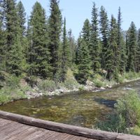 Yellow Pine Acreage images 5
