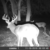 Vista View Sunset Ranch images 2