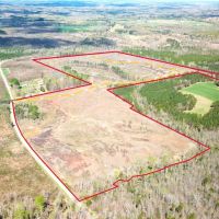 88.53 acres of Recreational and Residential Land For Sale in Mecklenburg County VA images 5