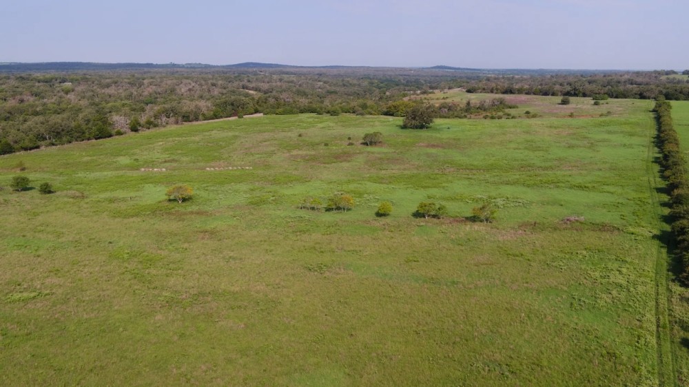 83.42 Acres in Milam County featured image
