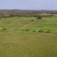 83.42 Acres in Milam County