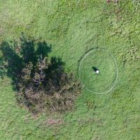 83.42 Acres in Milam County images 2