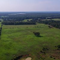 83.42 Acres in Milam County images 3