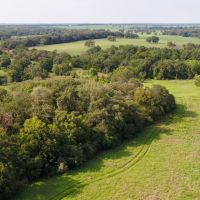 83.42 Acres in Milam County images 4