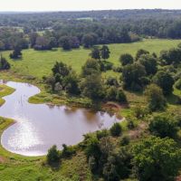 83.42 Acres in Milam County images 5