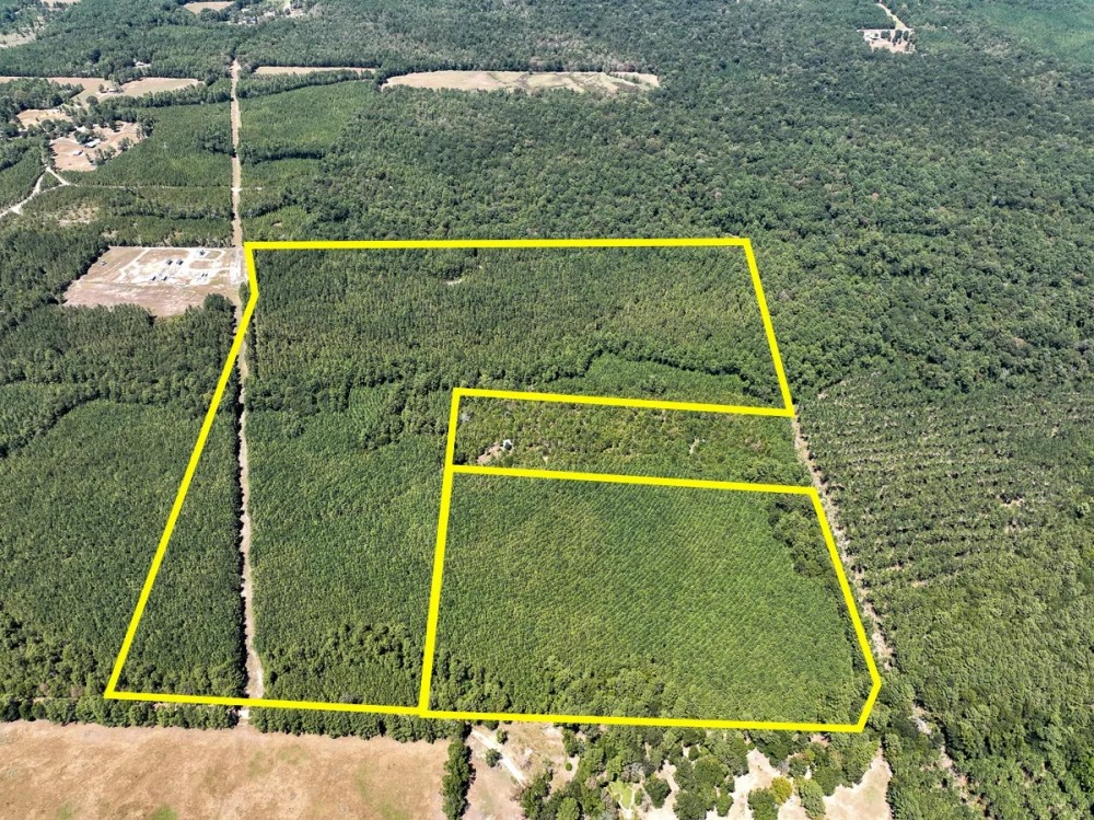79 Acres T-15 Saron featured image