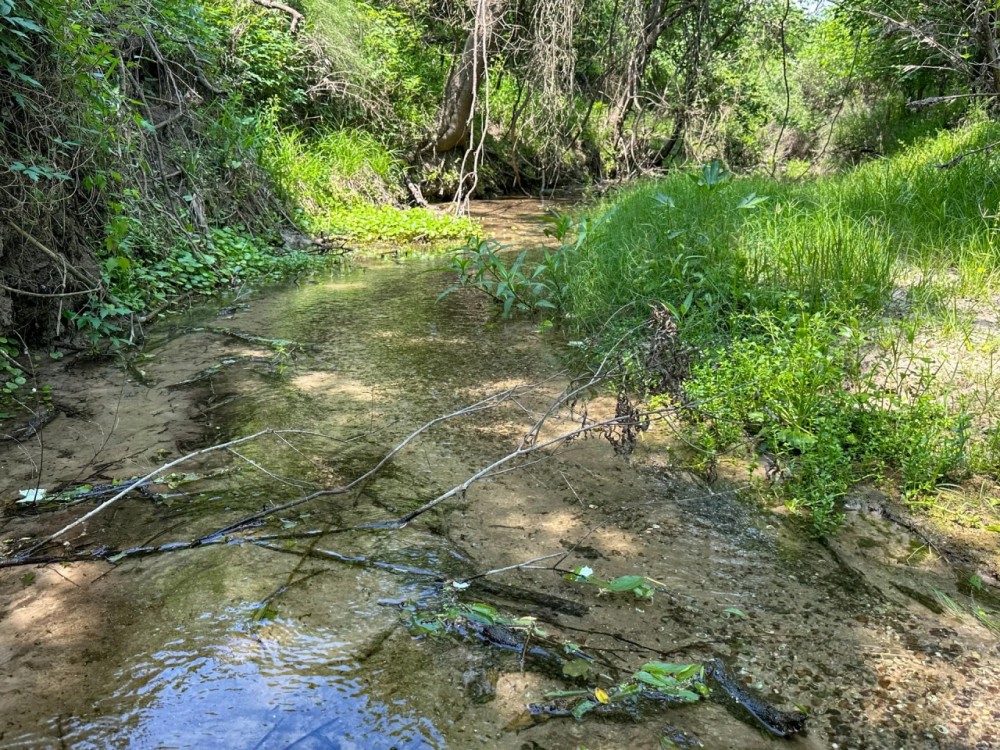 Medio Creek Ranch featured image