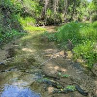 Medio Creek Ranch