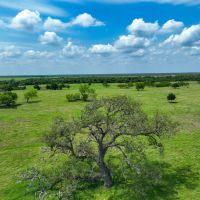 Medio Creek Ranch images 3