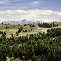 Livingston Montana Ranchettes