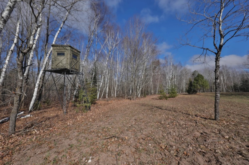 Prime Hunting Land for sale in Bayfield County Wisconsin featured image