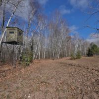 Prime Hunting Land for sale in Bayfield County Wisconsin