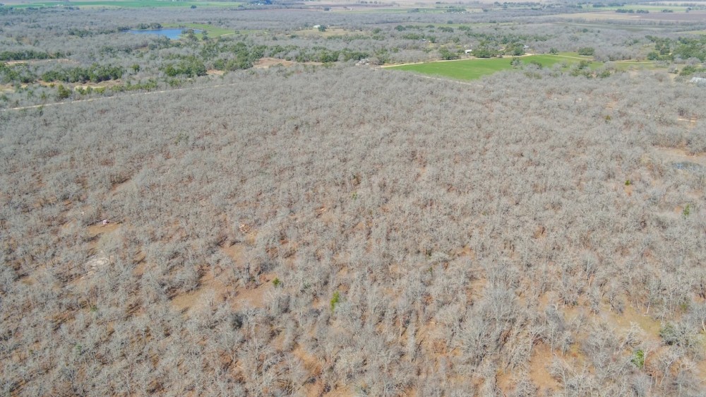 10.01 Acres in Milam County featured image