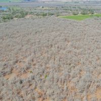 10.01 Acres in Milam County