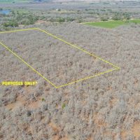 10.01 Acres in Milam County images 2