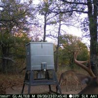 10.01 Acres in Milam County images 3