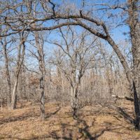 10.01 Acres in Milam County images 4