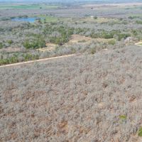 10.01 Acres in Milam County images 5