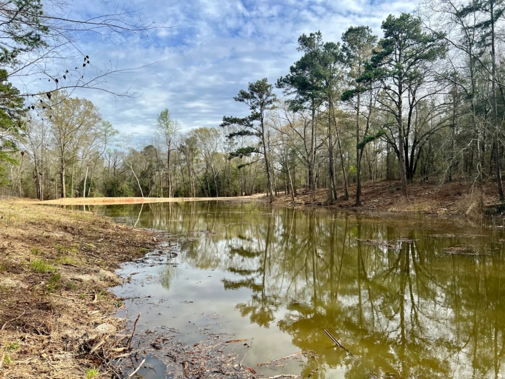 Banks Pond and Home Site featured image