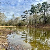 Banks Pond and Home Site