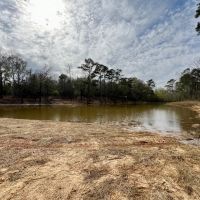 Banks Pond and Home Site images 2