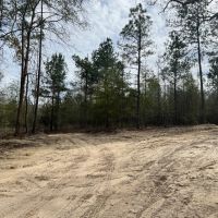 Banks Pond and Home Site images 3