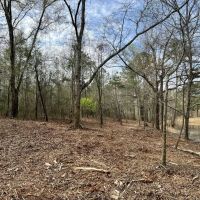 Banks Pond and Home Site images 4
