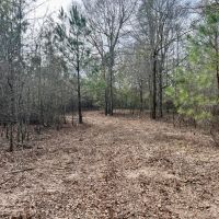 Banks Pond and Home Site images 5