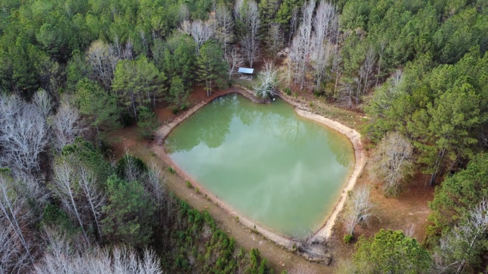 40 - Acres in Chambers County featured image