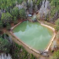 40 - Acres in Chambers County