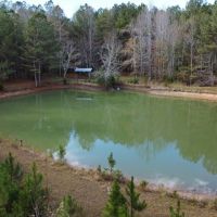 40 - Acres in Chambers County images 2