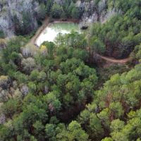 40 - Acres in Chambers County images 4