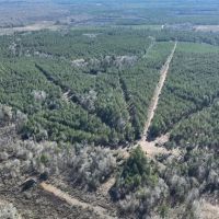 Black Farms Red River Parish 331 Acres - images 2