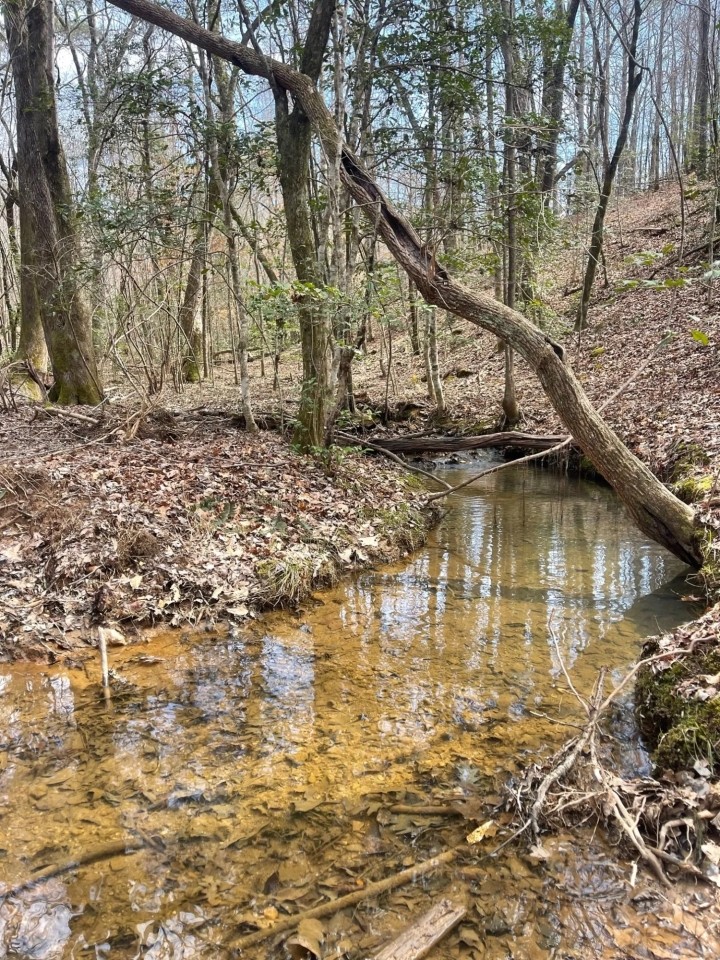 6 - Acres Tallapoosa County AL featured image